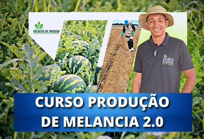 CURSO PRODUÇÃO DE MELANCIA 2.0